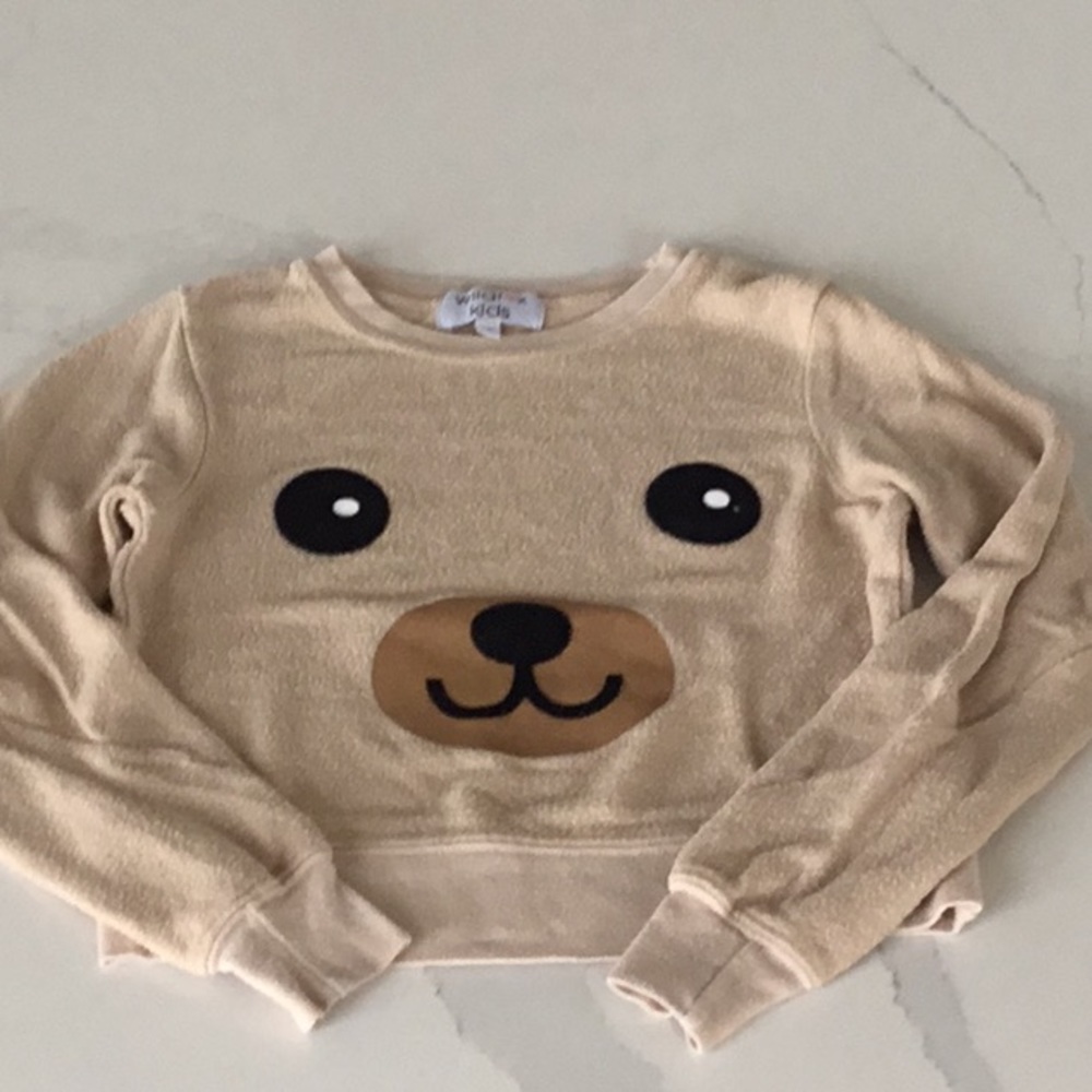 Wildfox Kids Teddy sweater, size 4